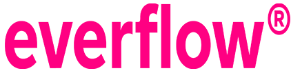 everflew-logo